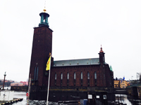 swe01